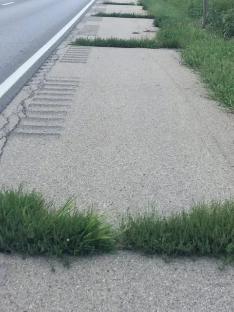 Our roads suck in Kansas. They are falling apart. This is the shoulder of a State Highway between Lawrence and Topeka. I wonder what the highway workers are thinking?