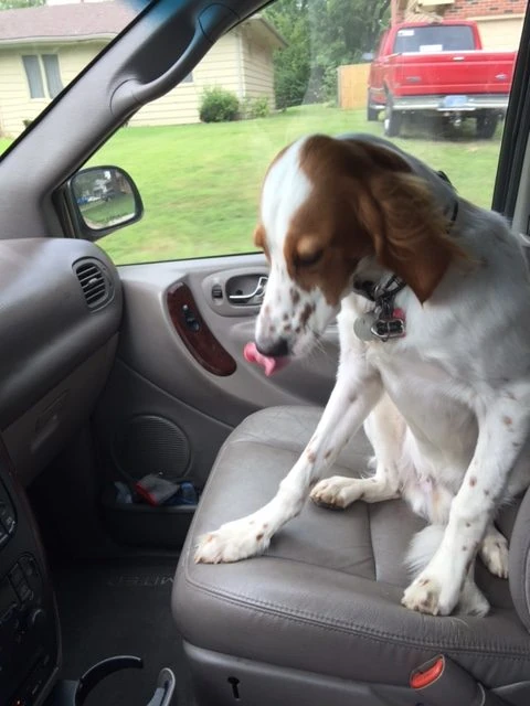 Tucker has his own good looks.