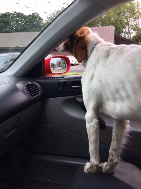 One of the very few times that Tucker is acting like he is concerned where we are going.