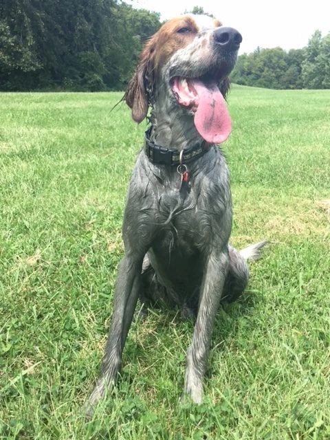 Tucker has a hard time staying clean sometimes.