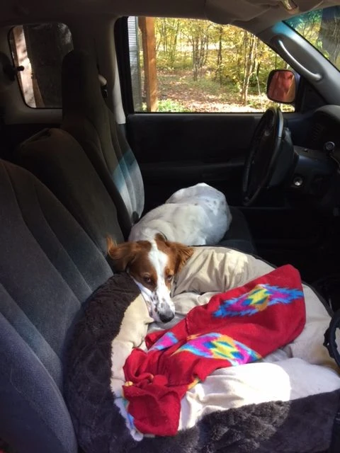 Tucker wasn&rsquo;t very stressed out. He pretty much slept the whole 12 hours.