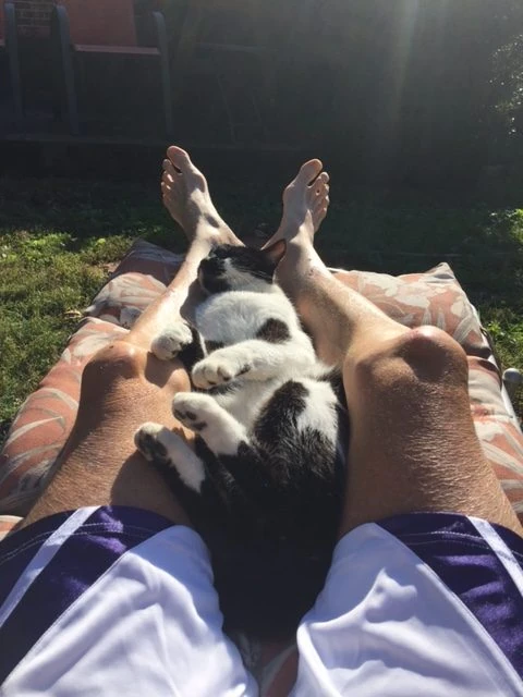 Kula followed me around most of the day yesterday. He slept here as I watched my legs shrink. It really has been super nice weather the last two weeks. Not a very good time to be down and out.