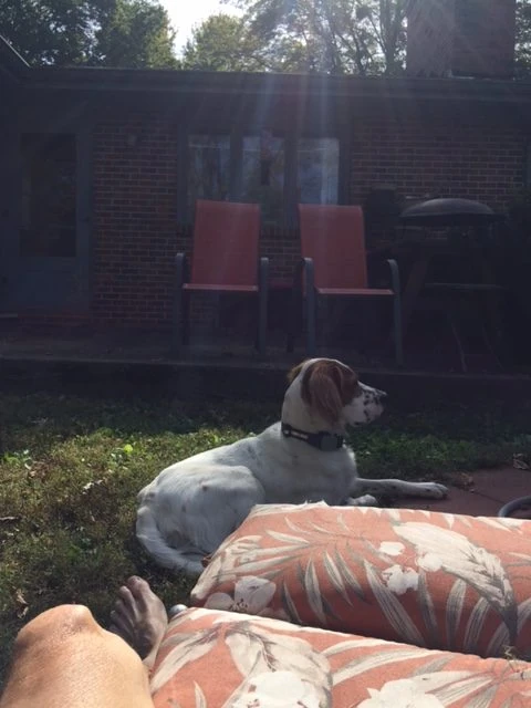 Tucker has been super. He just follows me around the house all day. He is turning 11 months old in a couple weeks. He is a great dog.