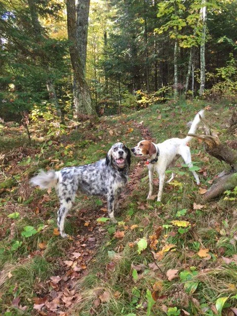 Tucker and his partner in crime, Hawkeye.