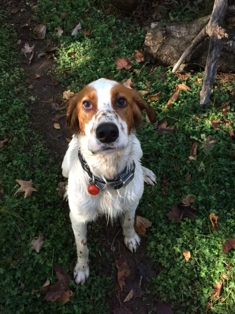 His &ldquo;I&rsquo;m not done look.&rdquo;