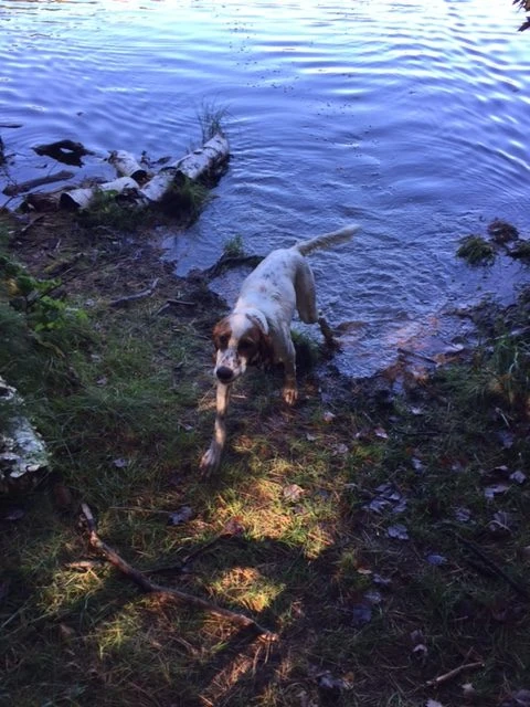 He is pretty skinny even though he is eating twice as much food as normal.