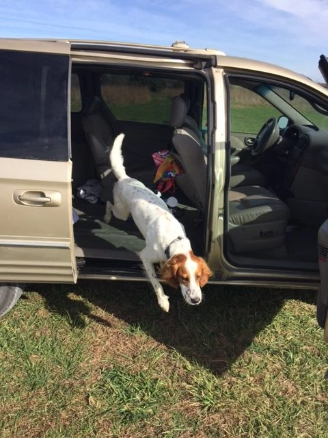 As soon as I say it&rsquo;s okay, he jumps and is gone.