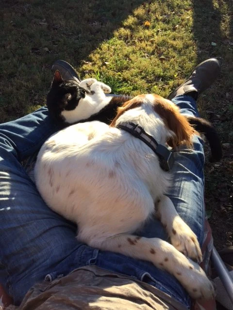 I’ve been trying to lay outside as much as possible. Tucker is always game. And usually at least one cat. It is nice.