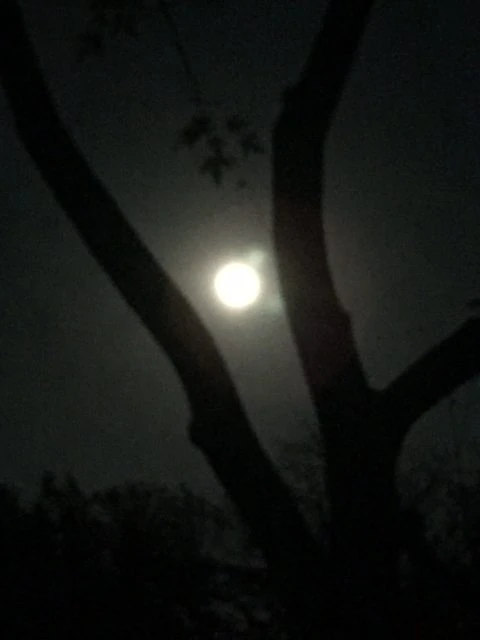 The super moon was a highlight of the night yesterday. If you didn&rsquo;t get a chance to see it, it you can still go out tonight and it will be impressive. It won&rsquo;t be this big again until 2034, so it will be a while.