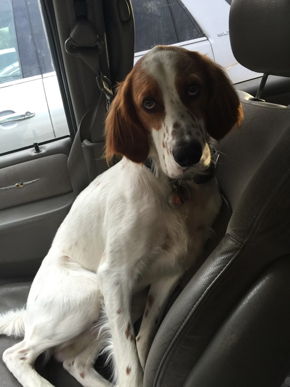 Tucker went yesterday and was a little mad he got left in the car.