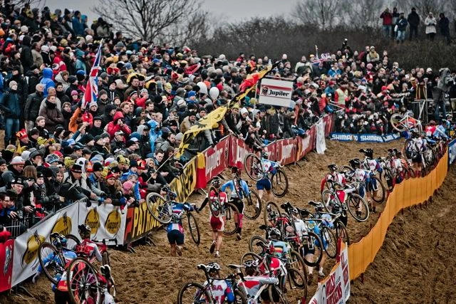 Koksijde sand.